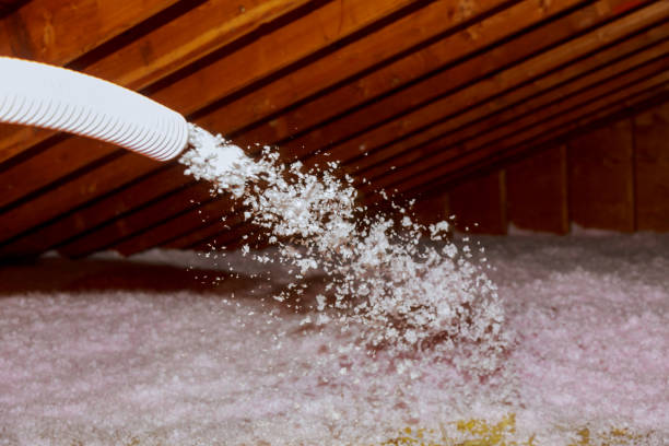 Best Insulation Maintenance and Repair in Forsyth, IL