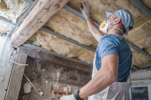 Best Insulation Materials and Products in Forsyth, IL