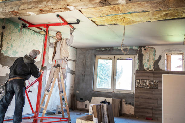 Best Insulation Installation Services in Forsyth, IL