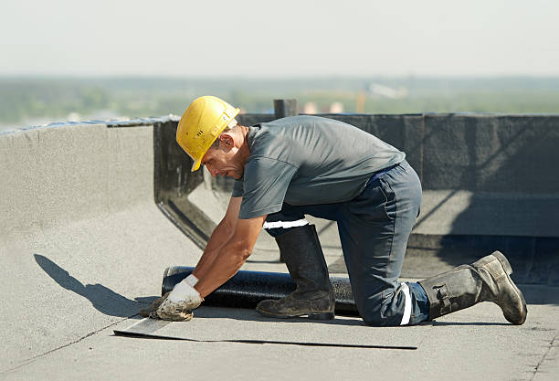 Best Insulation Maintenance and Repair in Forsyth, IL